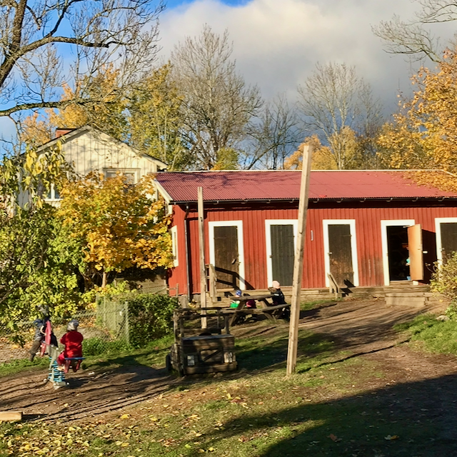 Barn leker på förskolans gård framför en röd träbyggnad bland höstträd.